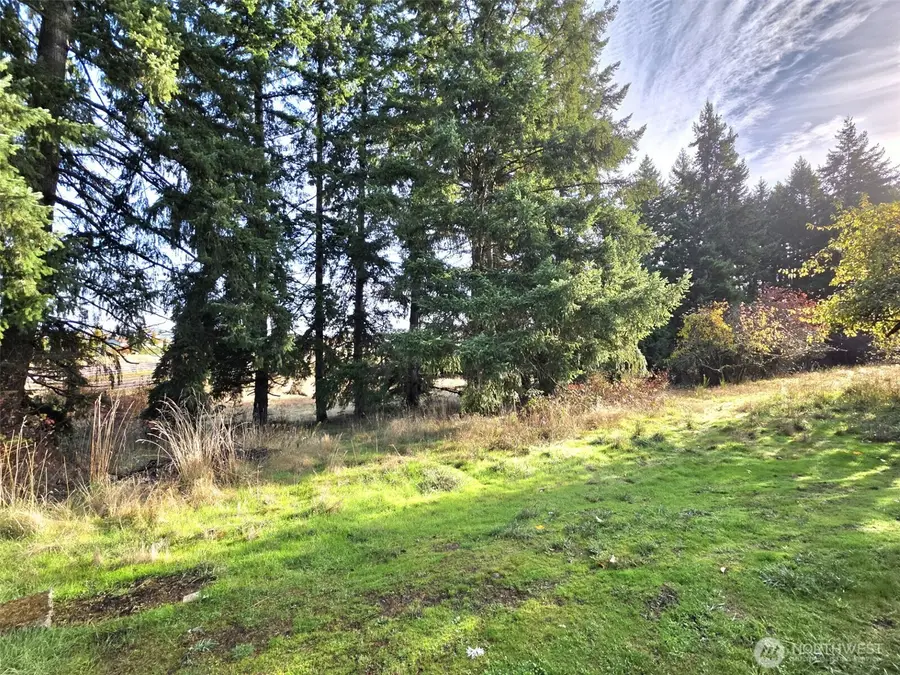 10524 Clark Road Se, Yelm, WA 98597 - Image #3