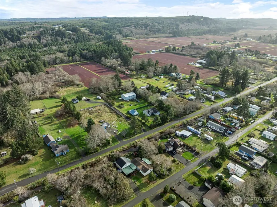 0 Second Avenue, Grayland, WA 98547 - Image #3