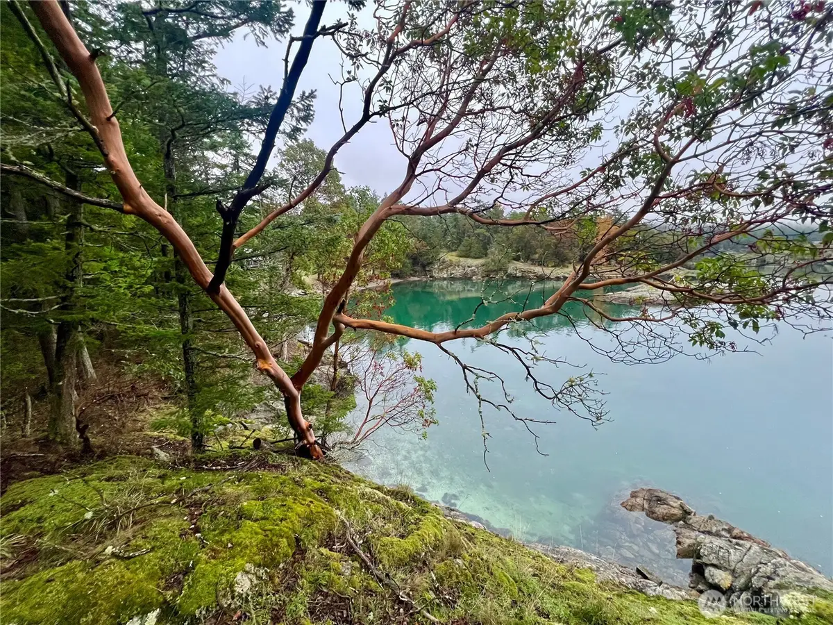 3521 Deer Harbor Road, Eastsound, WA 98245 - Image #1