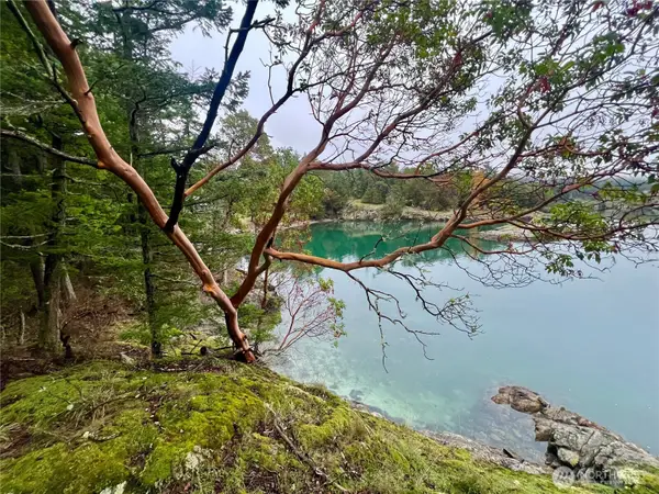 3521 Deer Harbor Road, Orcas Island, WA 98245