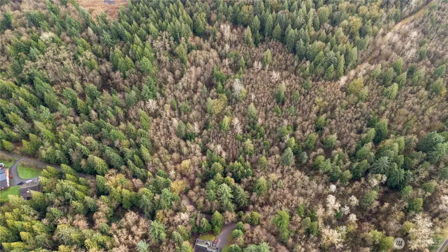 2031 Camber Lane #2, Blaine, WA 98230 - Image #3