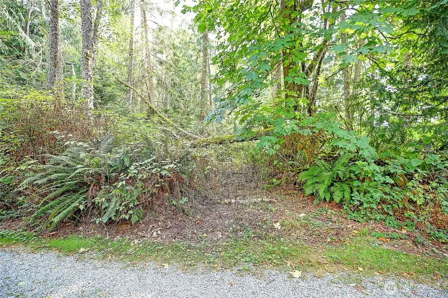 0 Rateau Drive, Camano Island, WA 98282 - Image #2