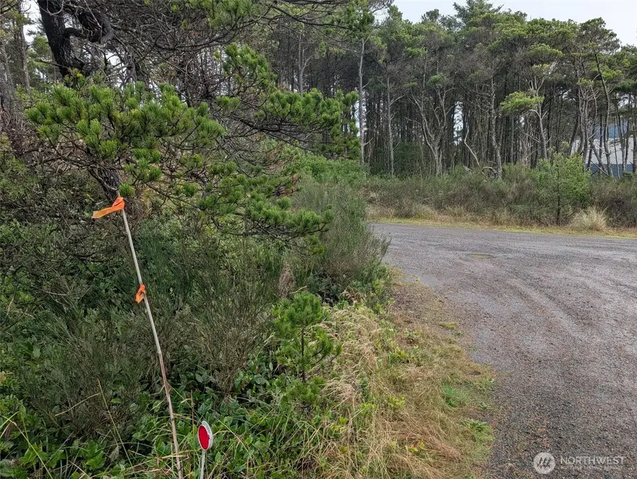 5 Gold Street #Lot 5, Westport, WA 98595 - Image #3