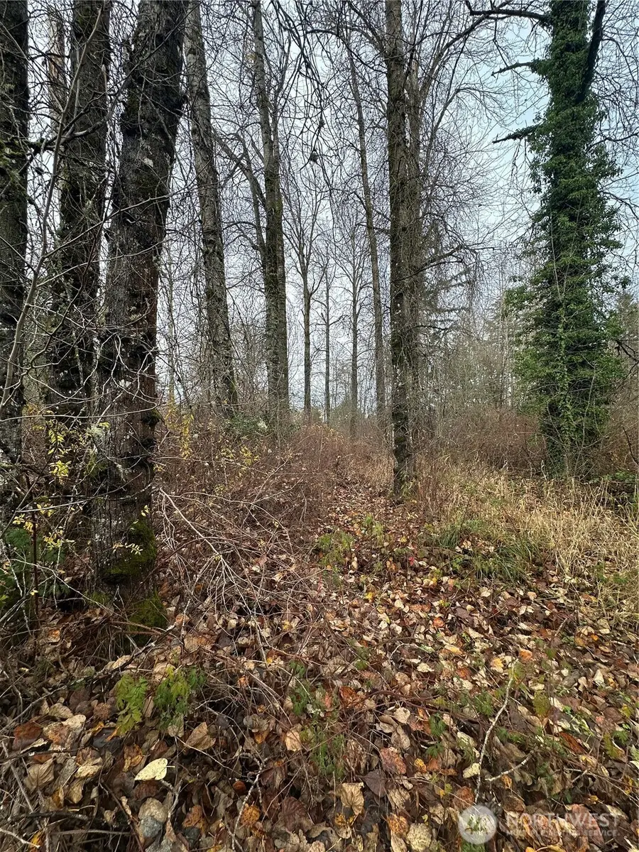 12309 40th Avenue E, Tacoma, WA 98446 - Image #2