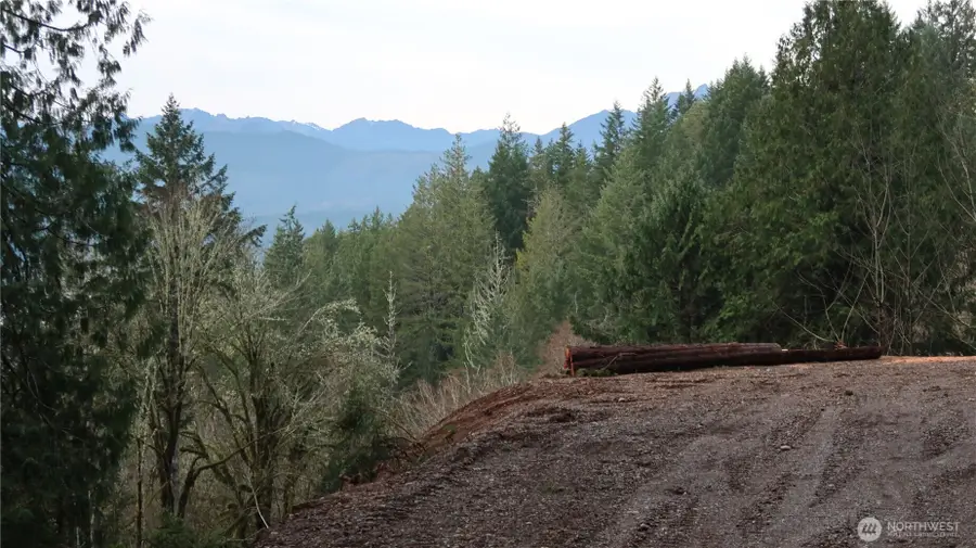 1111 Capstan Rock Rd Road #20, Tahuya, WA 98588 - Image #3