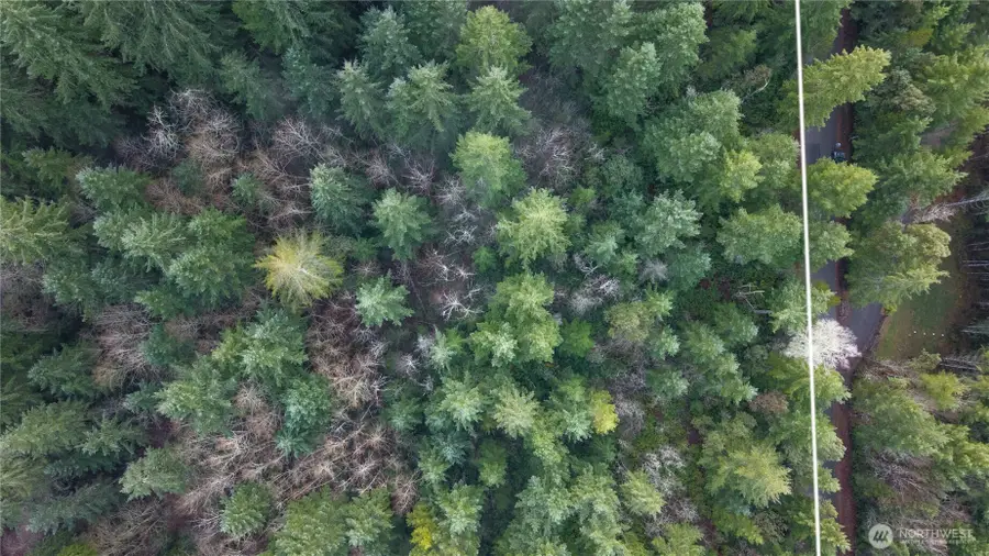 12711 144th Ave Nw #23, Gig Harbor, WA 98329 - Image #3