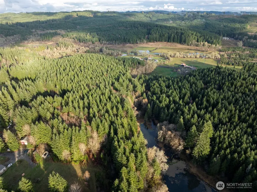 0 Bunker Creek Road, Bunker, WA 98522 - Image #2