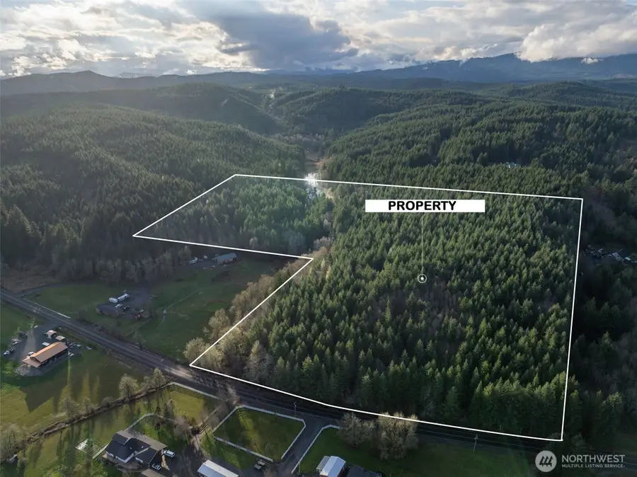 0 Bunker Creek Road, Bunker, WA 98522 - Image #3