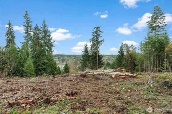 0 E Crestview Drive, Shelton, WA 98584