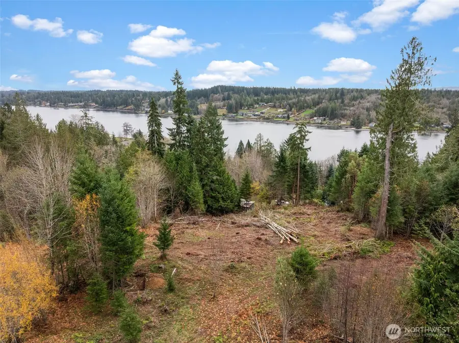 0 E Crestview Drive, Shelton, WA 98584 - Image #2