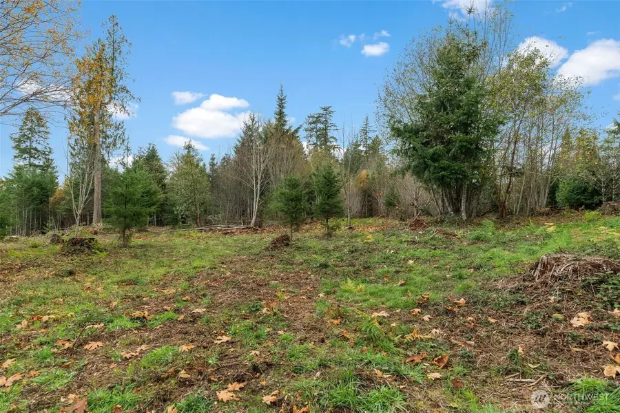 0 E Crestview Drive, Shelton, WA 98584 - Image #3