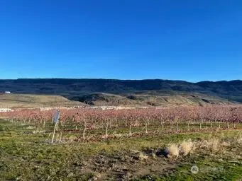 851 S Van Well Ave., East Wenatchee, WA 98802 - Image #3