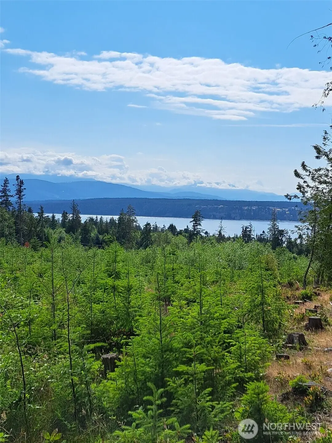 9999 Protection Ridge Road, Port Townsend, WA 98368 - Image #1