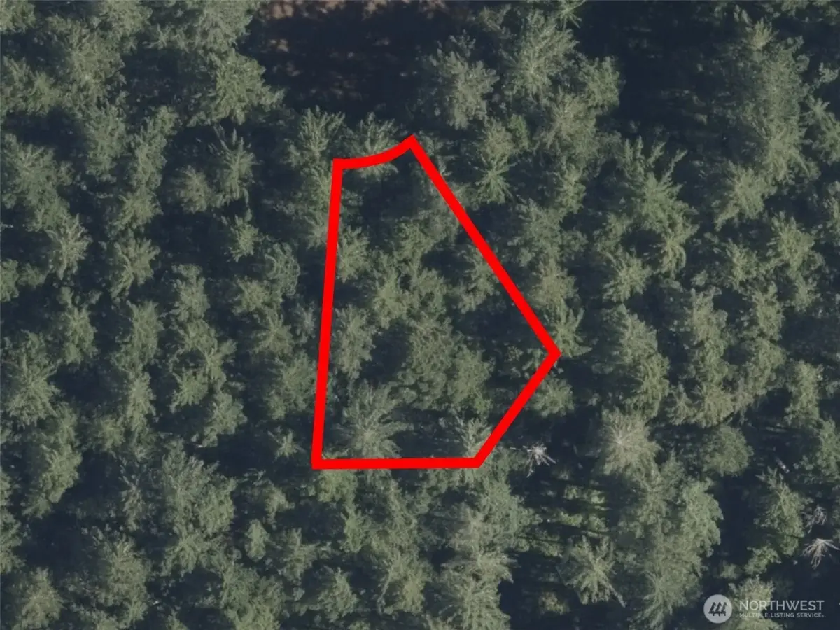 12914 E 101st Street Ct #181, Anderson Island, WA 98303 - #1