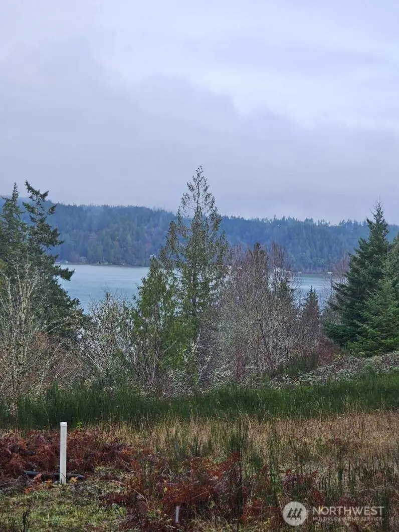 211 Linda Vista Court #28, Union, WA 98592 - Image #3