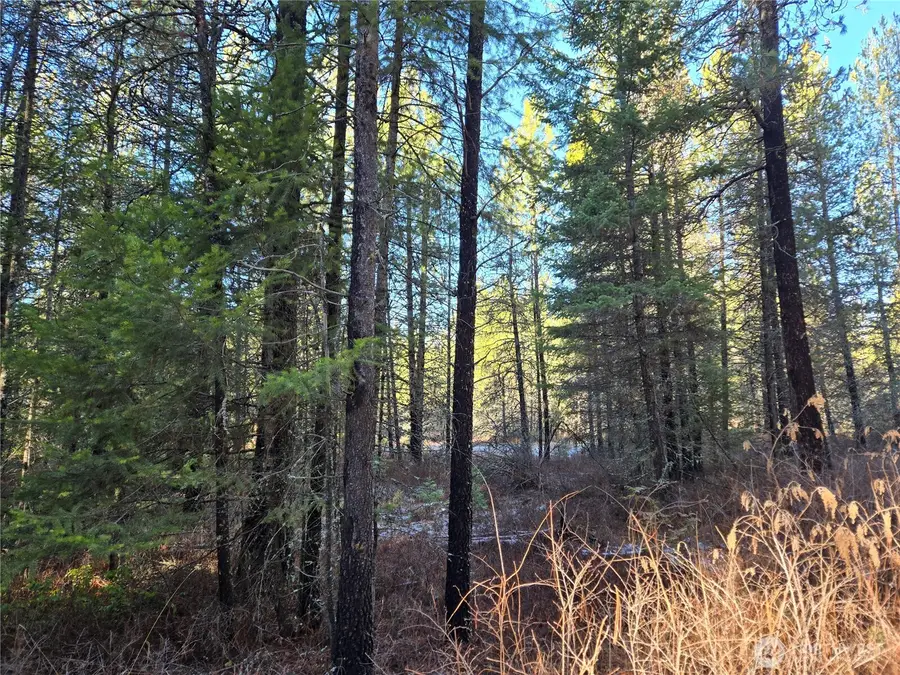 0 W Jump Off Joe Road, Valley, WA 99181 - #3