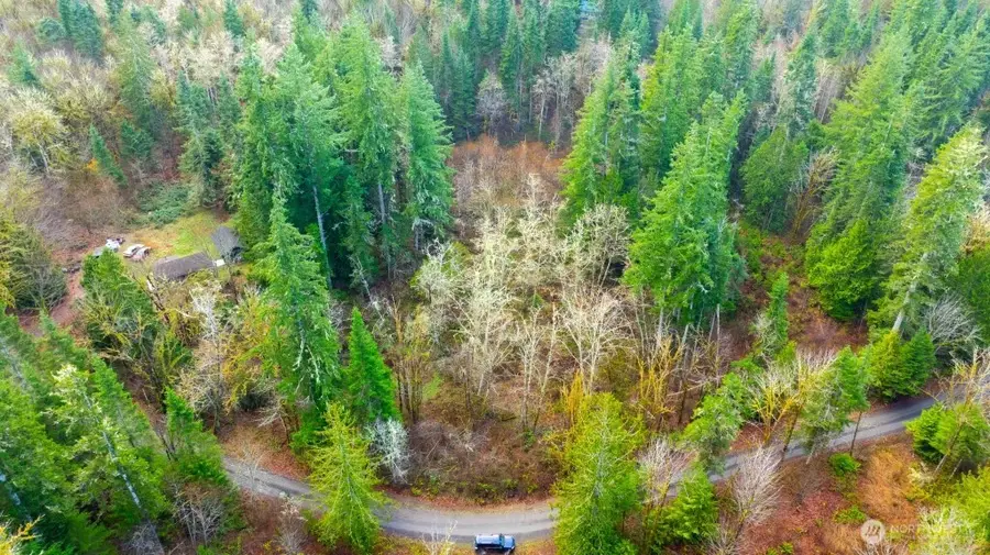 453 Rice Lake Road, Quilcene, WA 98376 - Image #3