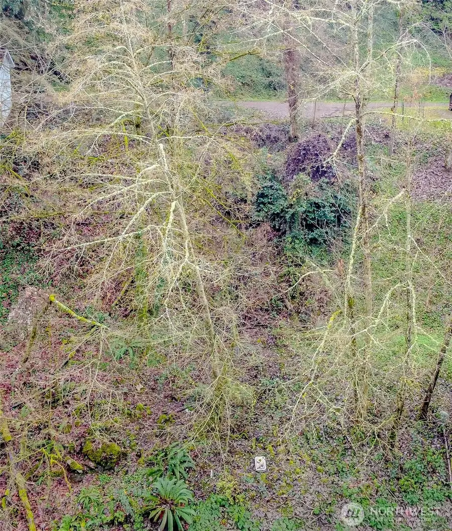 2415 NE 178th Street #13-14, Shoreline, WA 98155 - Image #2