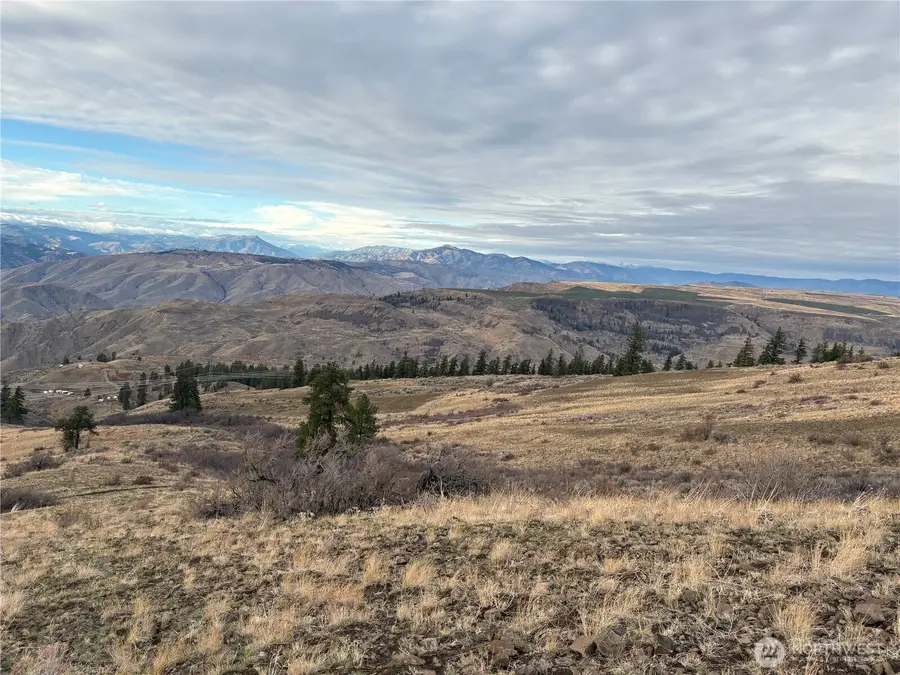 0 Deer Creek Drive #85, Waterville, WA 98858 - Image #2