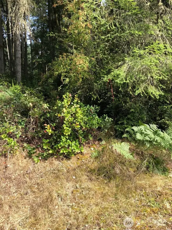 11419 Leschi Circle, Anderson Island, WA 98303