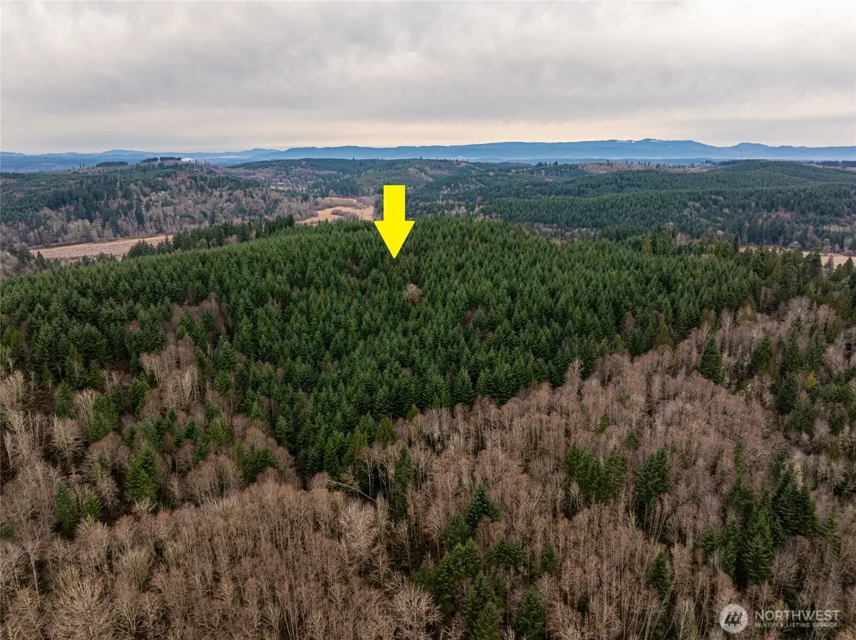 216 Zenkner Valley Road Sw, Centralia, WA 98531 - Image #1