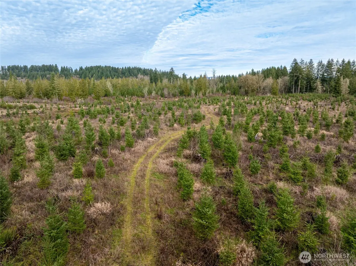 14 Spencer Road, Onalaska, WA 98570 - Image #1