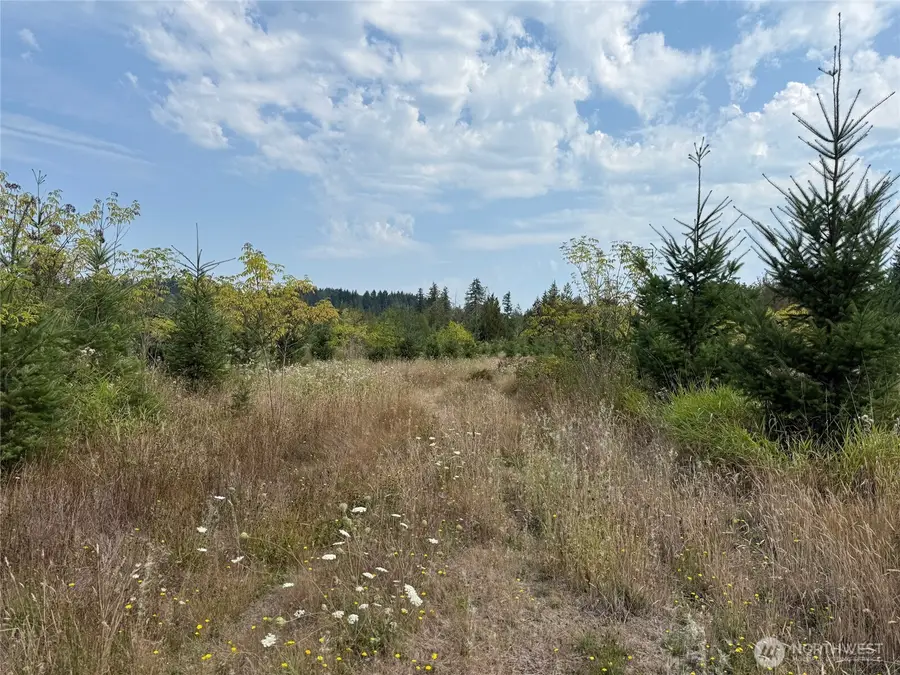 14 Spencer Road, Onalaska, WA 98570 - Image #3