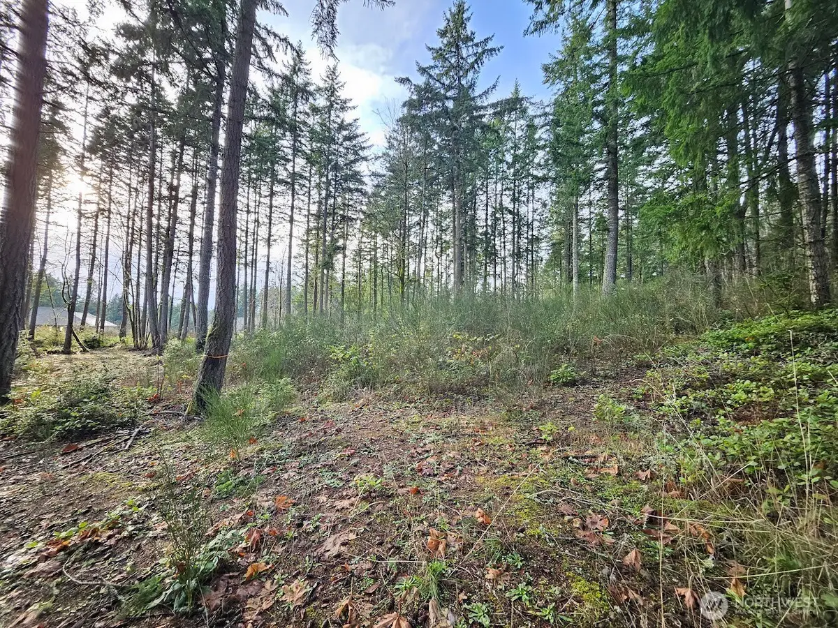 1906 NE Paulson Road #B, Poulsbo, WA 98370 - Image #1