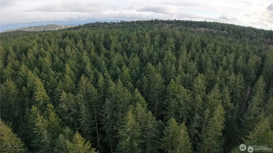 927 Bell Street #3 and 4, Port Townsend, WA 98368 - Image #2