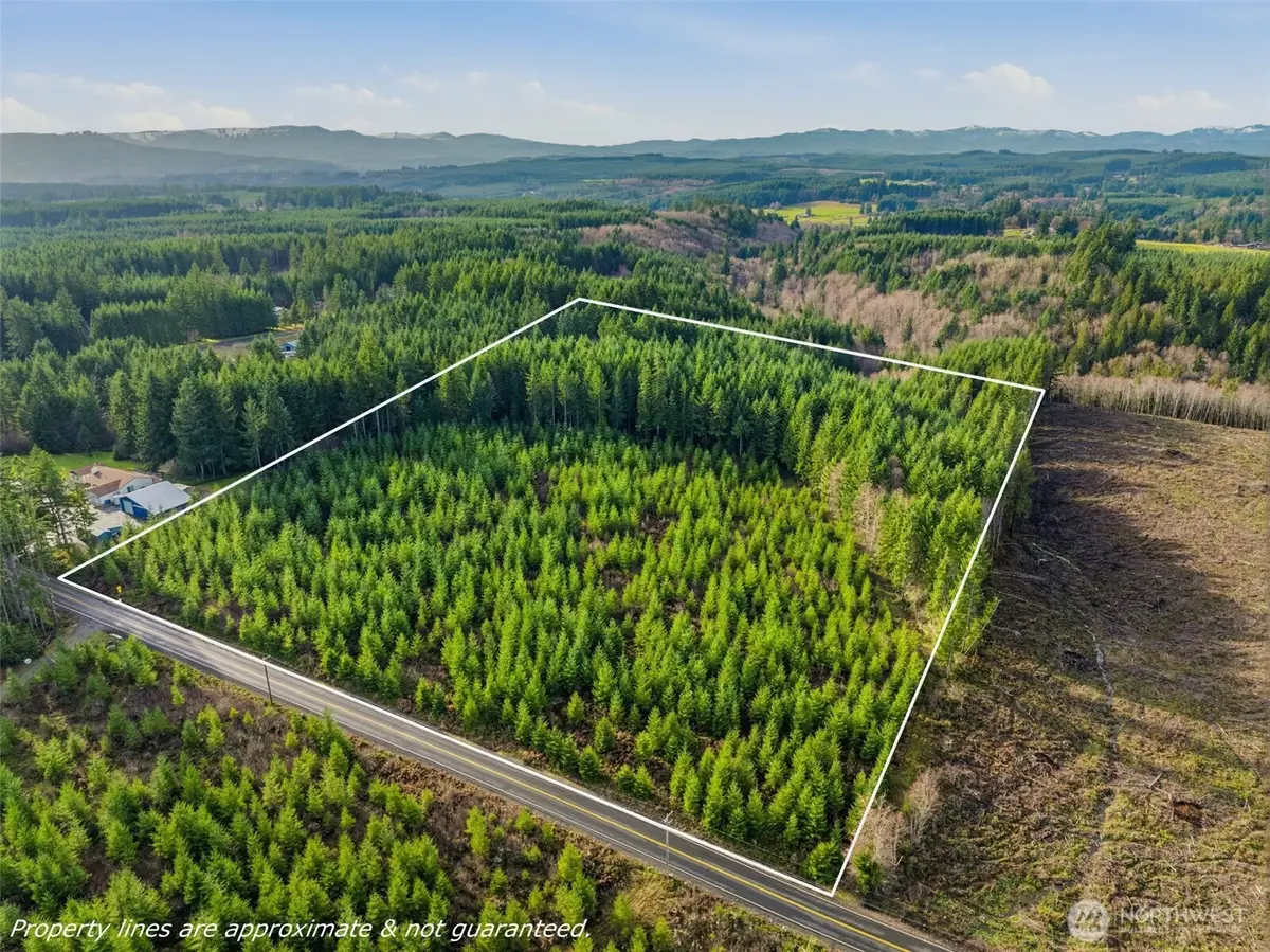 0 Nikula Road, Winlock, WA 98596 - Image #1