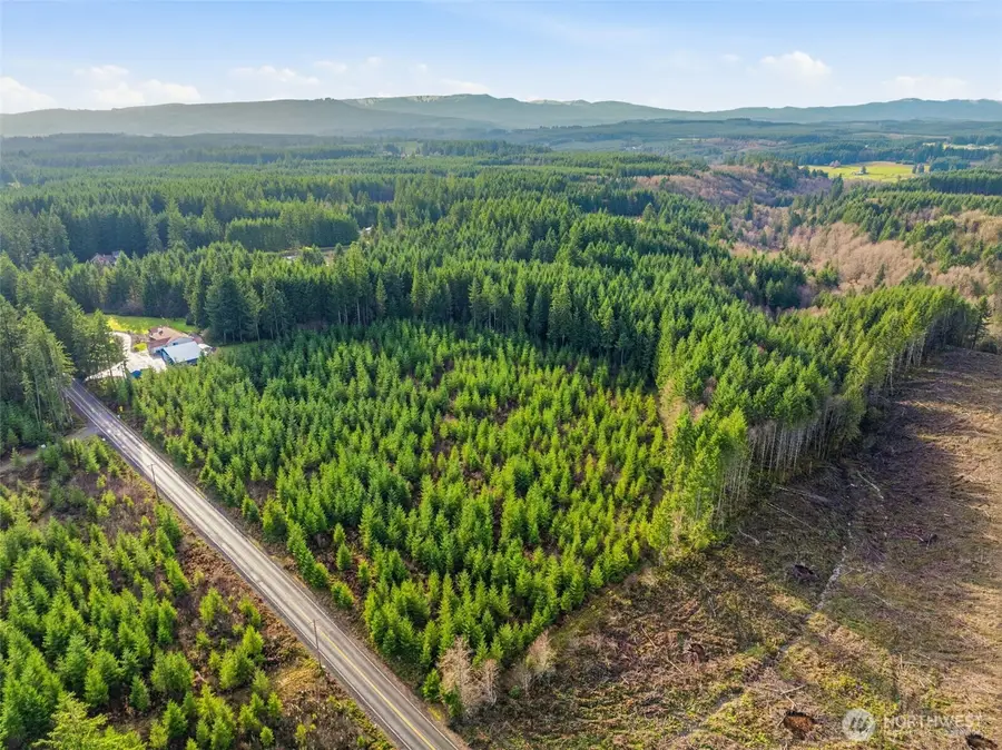 0 Nikula Road, Winlock, WA 98596 - Image #2
