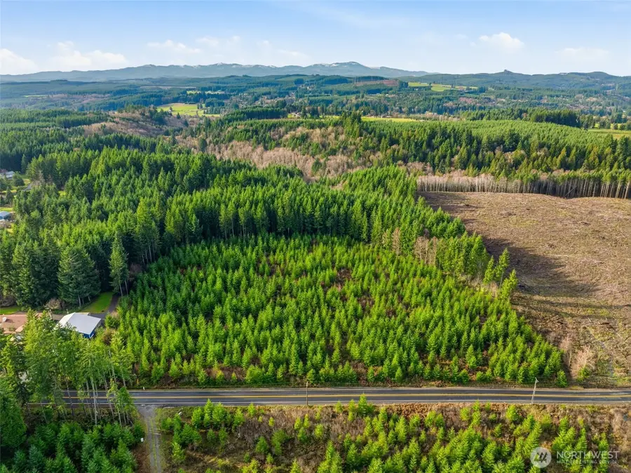 0 Nikula Road, Winlock, WA 98596 - Image #3