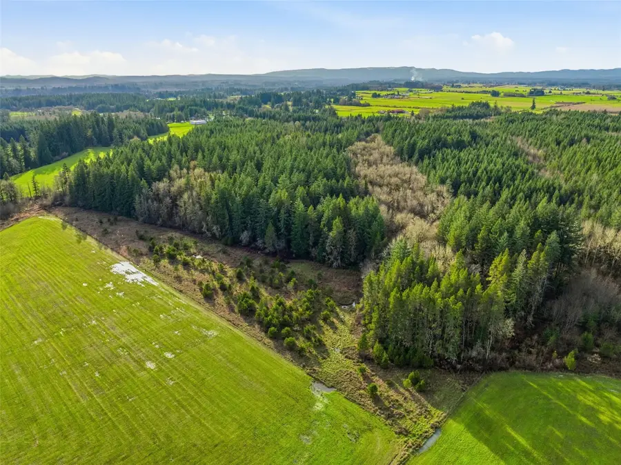 0 Classe Road, Toledo, WA 98591 - Image #3