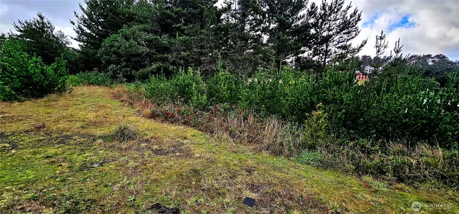 30514 K Place, Ocean Park, WA 98640 - #2