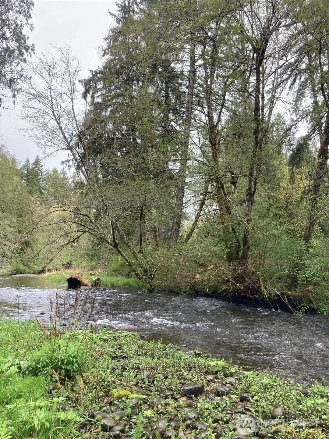 0 East Of Bingham Creek, Elma, WA 98541 - #1