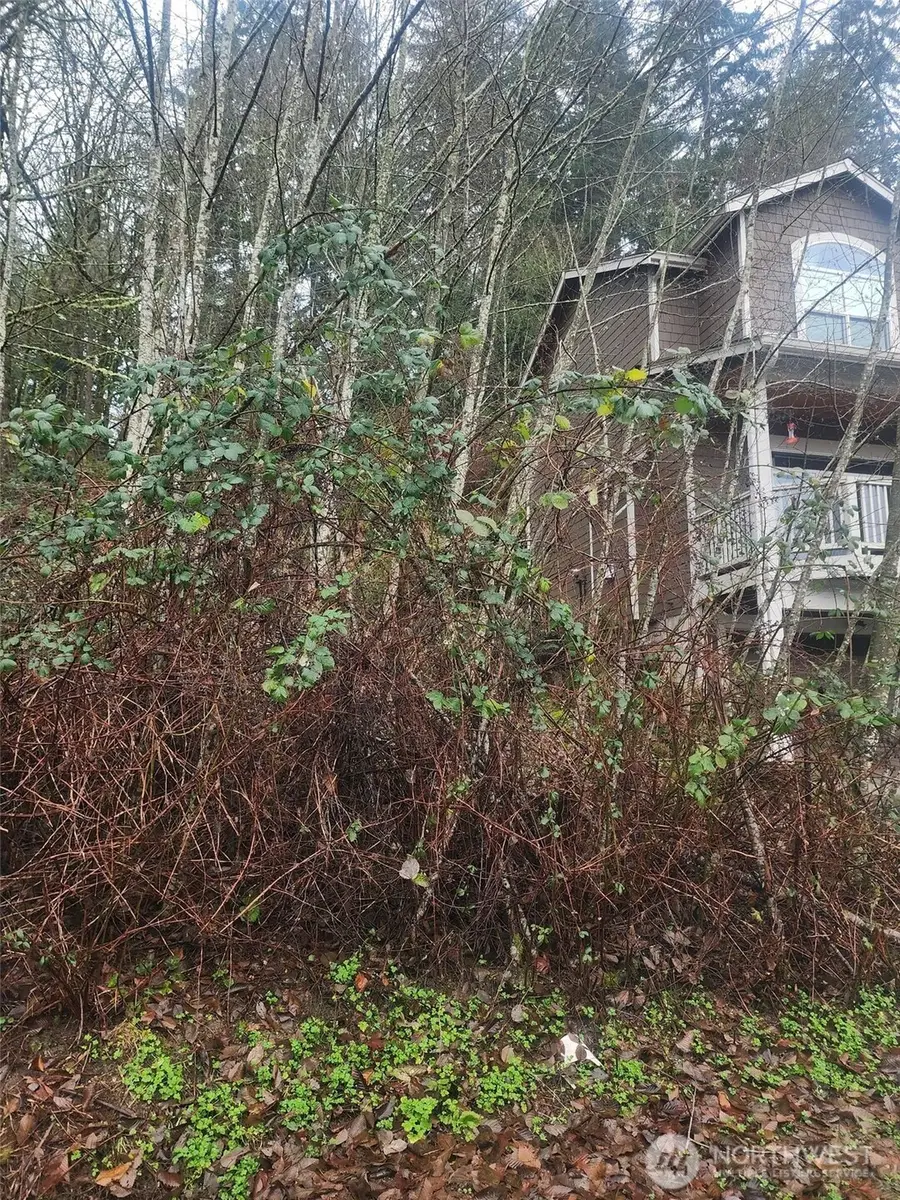 679 17th Avenue Nw #1, Issaquah, WA 98027 - #3