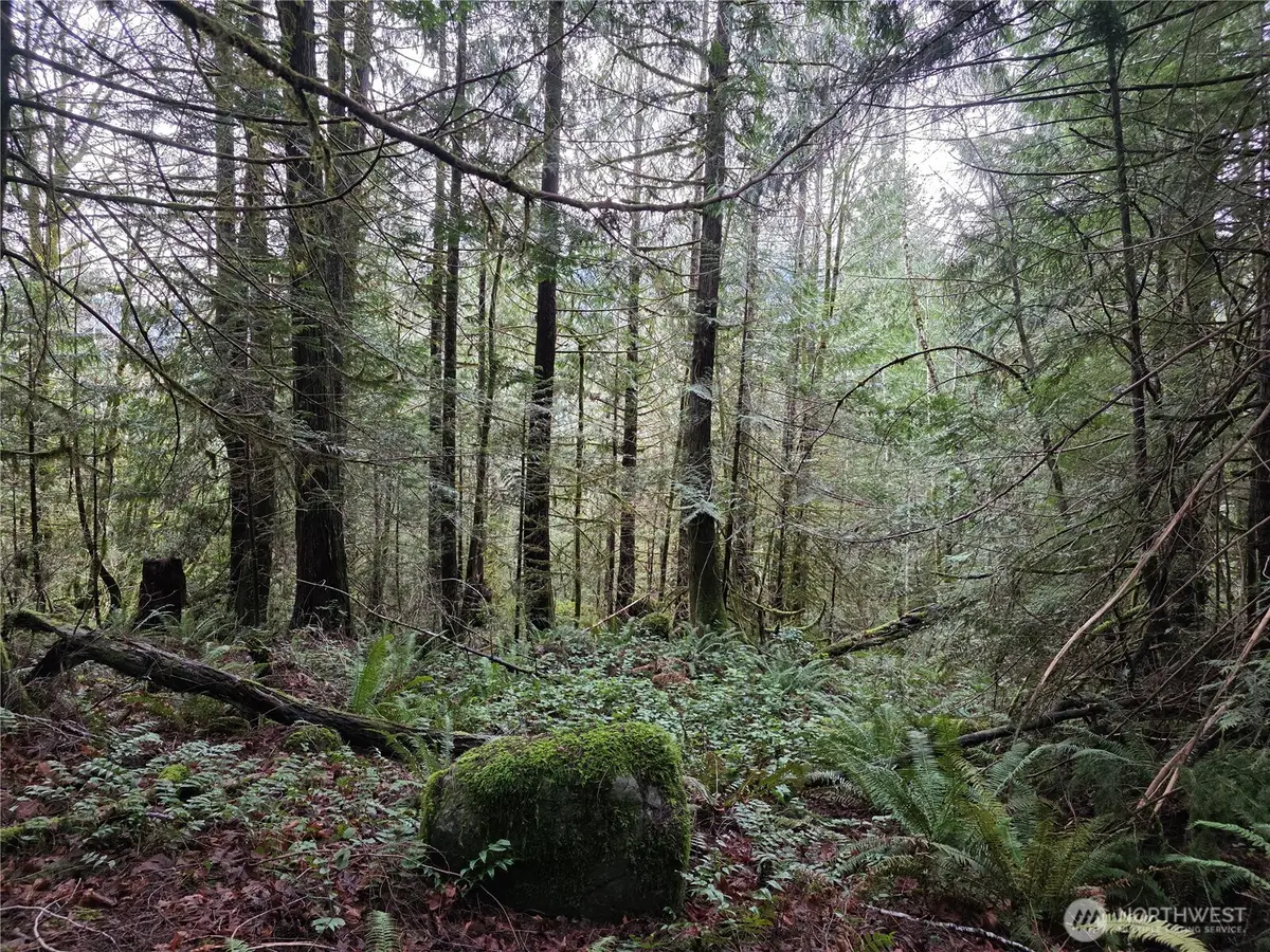 0 Dragonfly Lane, Brinnon, WA 98320 - Image #1