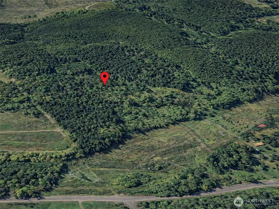 188 S Bank Road, Elma, WA 98541 - Image #2