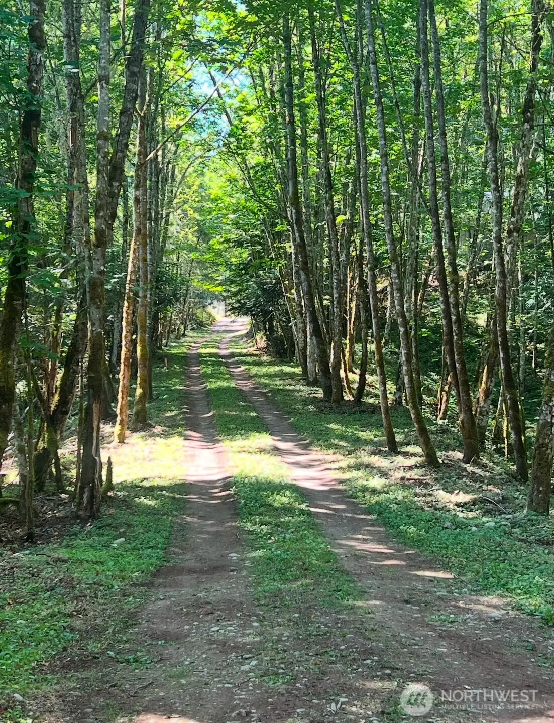 19713 196th Ave E, Orting, WA 98360 - Image #1