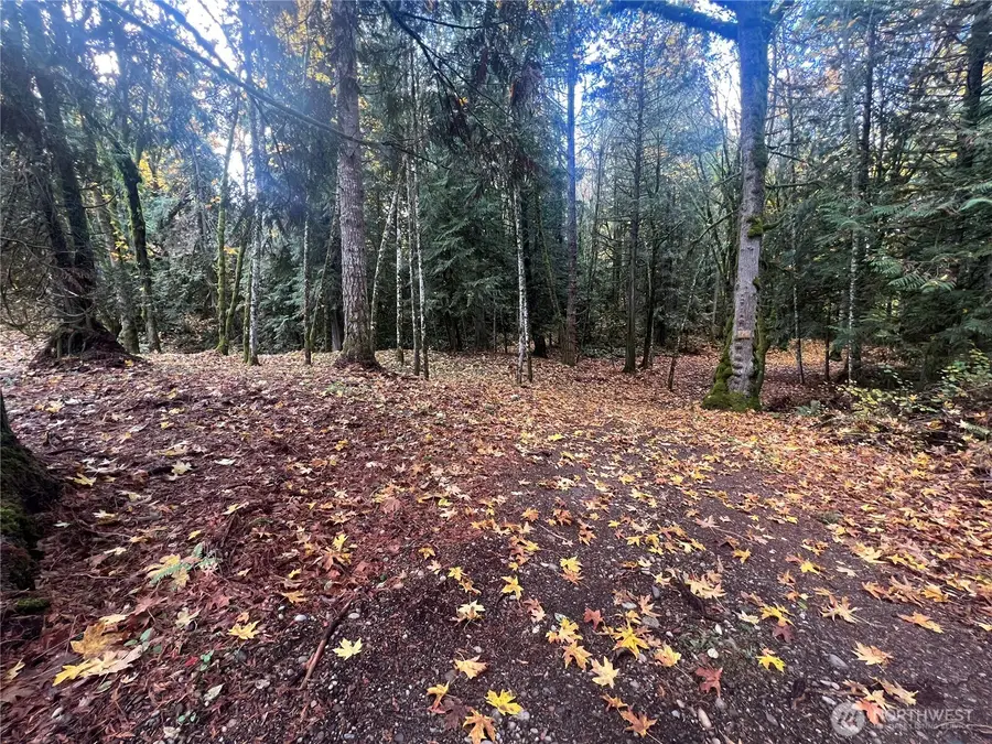 19713 196th Ave E, Orting, WA 98360 - Image #3