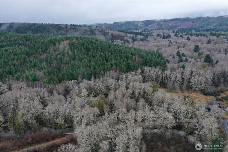 828 Wilkie Lane #24-26 & portion of 28, Montesano, WA 98563 - Image #3