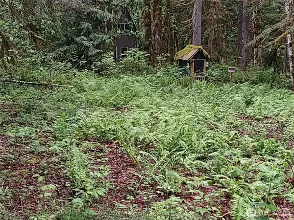 63645 NE 190th Street #31, Baring, WA 98224