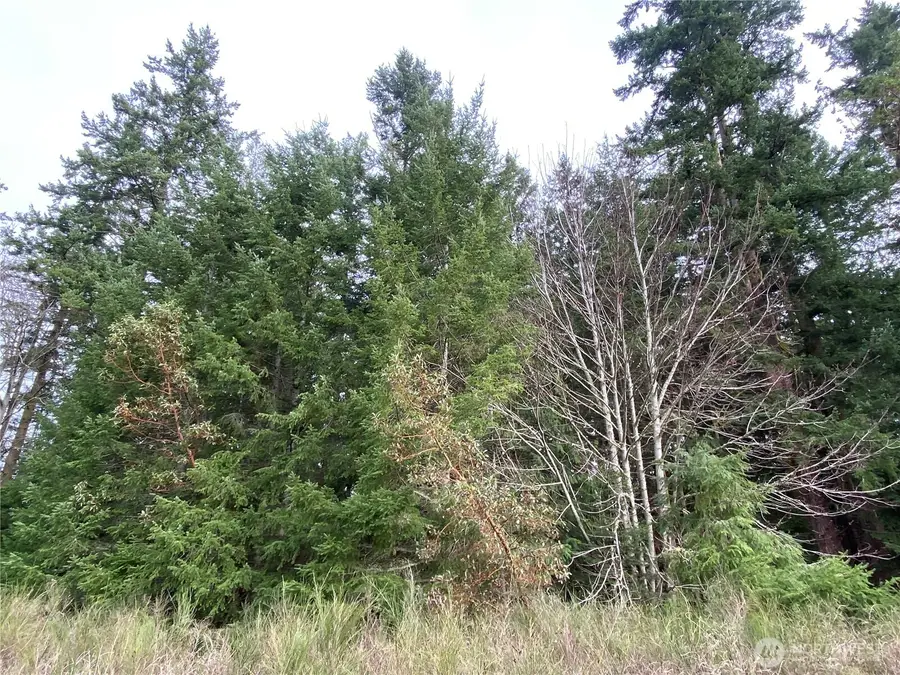 999 Oak Bay Road #5-11(ls r/w&road), Port Hadlock, WA 98339 - Image #2