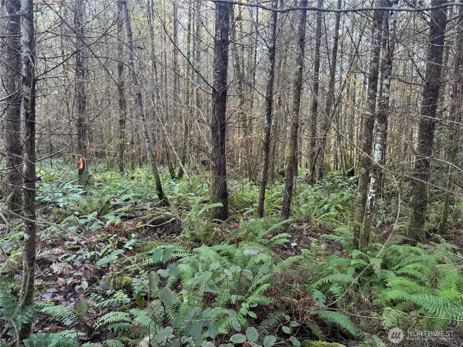 233 Shy Bear Road, Toutle, WA 98649 - #2