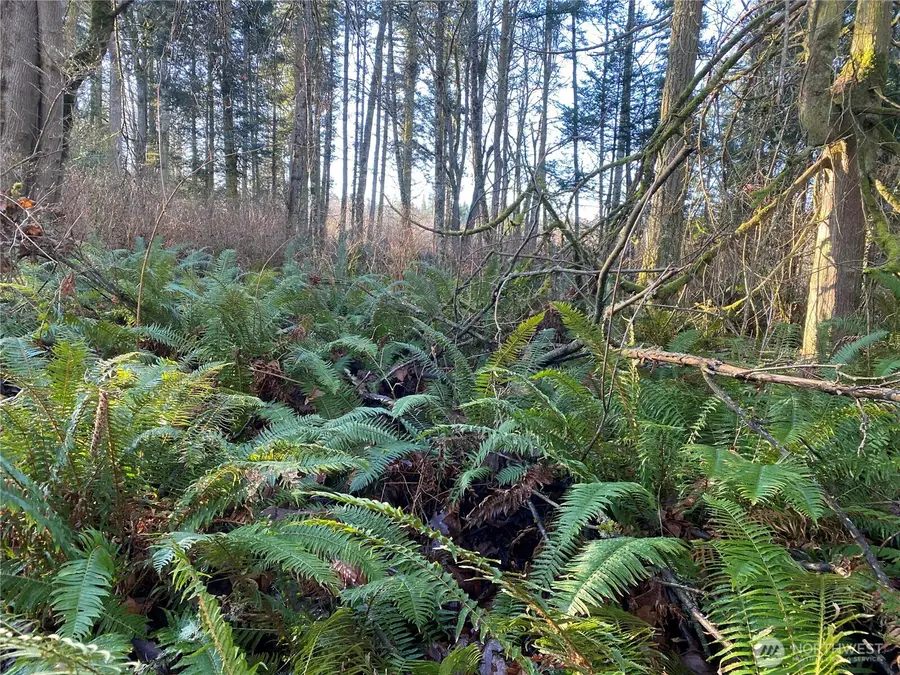 999 White Street #1&2, Port Hadlock, WA 98339 - Image #2