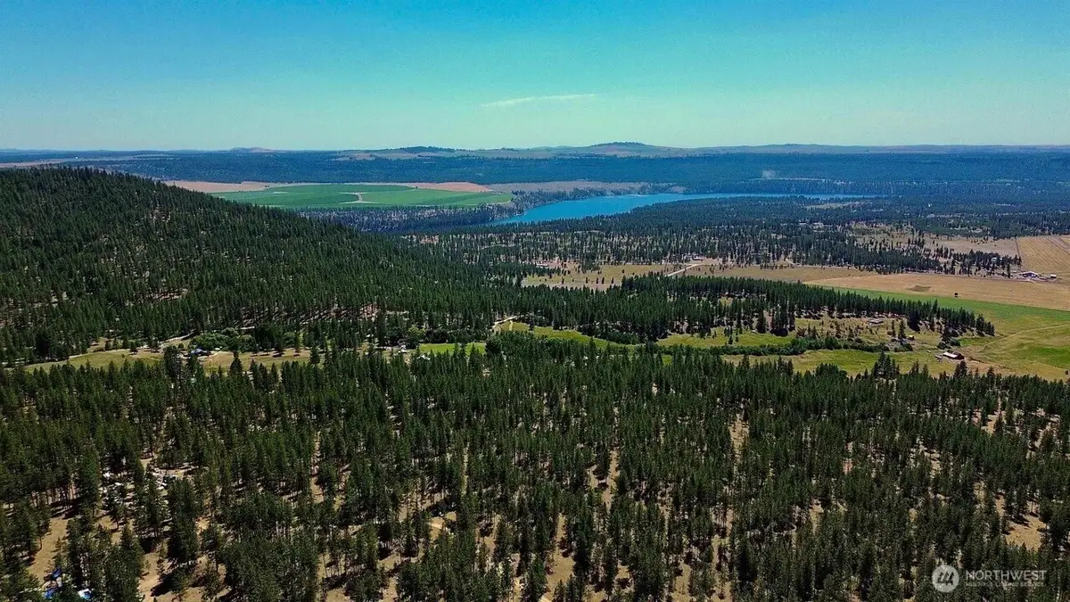 5687 Corkscrew Canyon Road, Tumtum, WA 99034 - Image #1