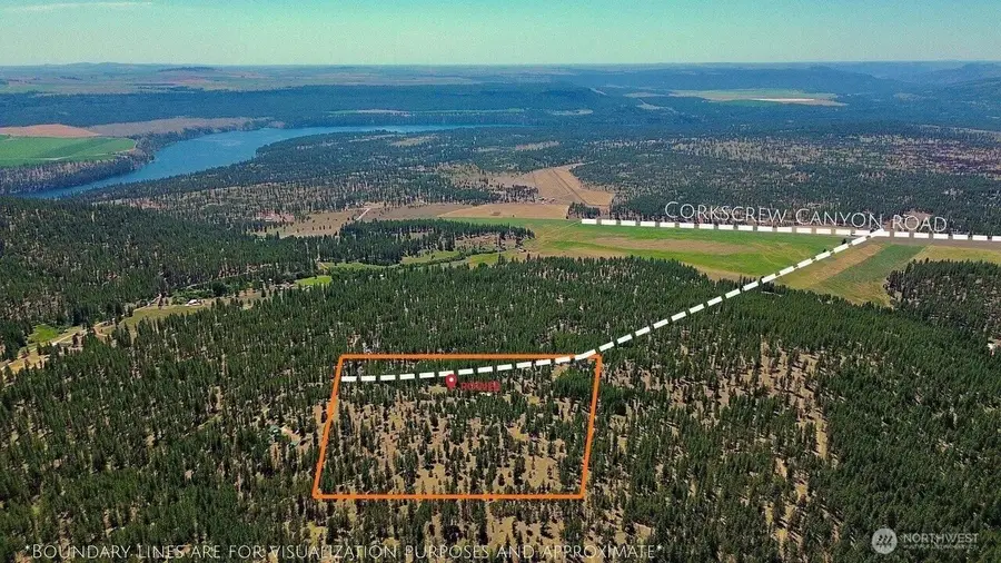 5687 Corkscrew Canyon Road, Tumtum, WA 99034 - Image #2