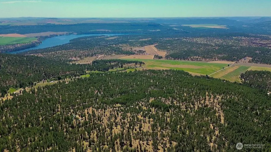 5687 Corkscrew Canyon Road, Tumtum, WA 99034 - Image #3