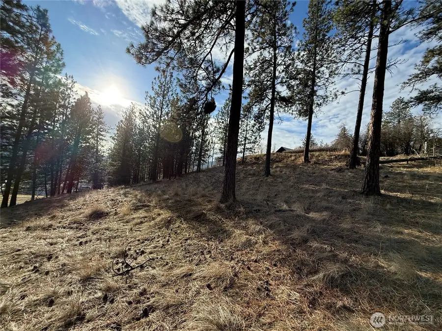 0 Adams Street #See Legal Desc., Republic, WA 99166 - Image #2