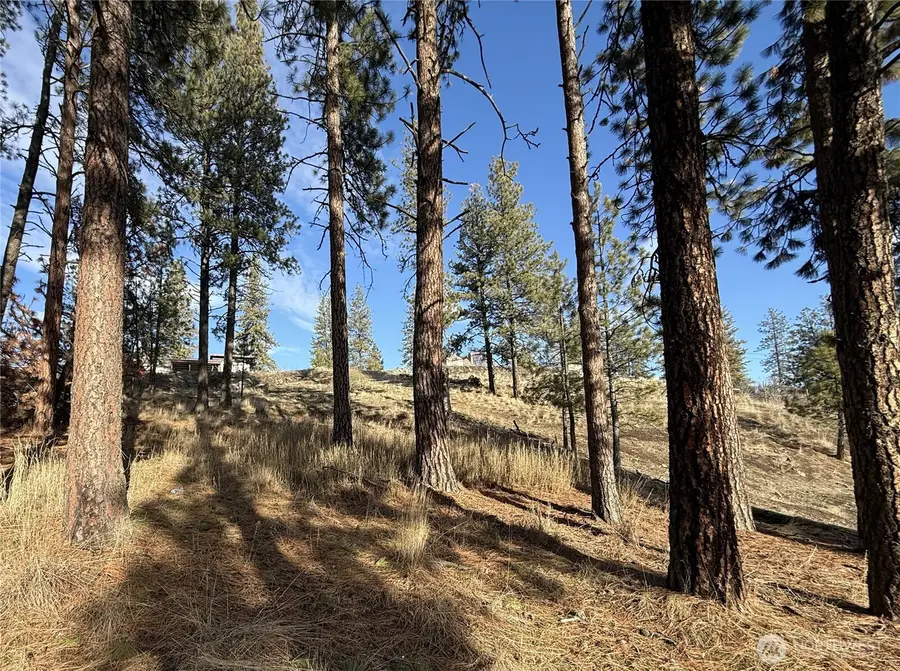 0 Adams Street #See Legal Desc., Republic, WA 99166 - Image #3